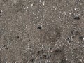 Black micro stones and sea shells sand beach as a background Royalty Free Stock Photo