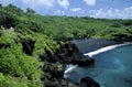 Black Sand Beach, Maui