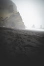 Black Sand Beach Reynisfjara, Iceland during cloudy sky, people in the distance, vertical shot Royalty Free Stock Photo