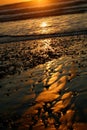 Black Sand Beach at Sunset- Torrey Pines Beach