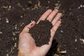 Black sand in hand at Perissa beach, Santorini, Greece Royalty Free Stock Photo