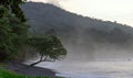 Black sand volcanic beach in Tangkoko National Park. Early fogy morning on the coast of Tangkoko National Park. Sulawesi. Royalty Free Stock Photo