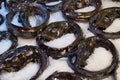 Black scabbard fish aphanopus carbo prepared for sale on ice at a fish counter in a supermarket on the island of Madeira Royalty Free Stock Photo