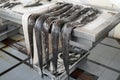 Black Scabbard fish in the Fish market in Funchal