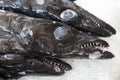 Black scabbard fish on a market Royalty Free Stock Photo