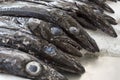 Black scabbard fish on a market Royalty Free Stock Photo