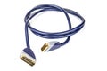 Black scart cable for television and satellite.