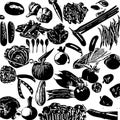 Black scetch drawing illustration of different vegetables on white background Royalty Free Stock Photo