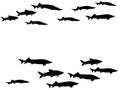 Black school of fish swimming vector illustration. Royalty Free Stock Photo