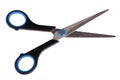 Black scissors