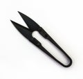 Black scissors