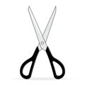 Black scissors sharp isolated on white background