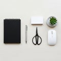 Black scissors, a white computer mouse, and a small potted succulent Royalty Free Stock Photo