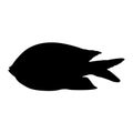 Black `Scissortail Sergeant` fish silhouette Royalty Free Stock Photo