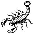 Black scorpion with raised tail and claws vector art Royalty Free Stock Photo