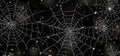 A black screen displays white spider webs, which are thin and long, hanging from both the left and right sides. Royalty Free Stock Photo