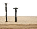 Black screws screwed into a wooden bar isolated on white background