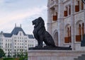 Black sculpture of lion in Budapest, Hungary