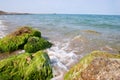 Black Sea Royalty Free Stock Photo