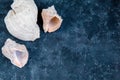 Black sea background with three sea shells