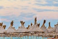 The Black Sea beach, terrace with umbrellas, sand,water and blue sky Royalty Free Stock Photo