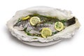 Black sea bream wrapped in paper and baked, Italian cuisine