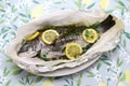 Black sea bream wrapped in paper and baked, Italian cuisine