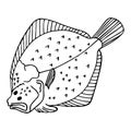 Black sea brill. Hand drawn black vector realistic illustration.