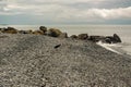 On the Black Sea coast before a thunderstorm.