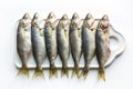 Black sea fresh bluefish on white. Fish pattern with space for text. View from above