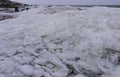 The Black Sea is frozen, the circular ice rolled by the waves is thrown ashore and frozen