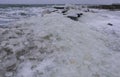 The Black Sea is frozen, the circular ice rolled by the waves is thrown ashore and frozen