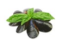 The Black Sea mussels and basil