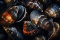 Black sea shells macro closeup background