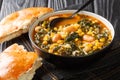 Black Sea Turkish vegetarian Kara lahana corbasÃÂ± spicy cabbage soup with kale, beans, tomatoes and corn close-up in a bowl. Royalty Free Stock Photo