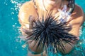 Black Sea urchin above water Royalty Free Stock Photo