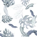 Black Seamless Leaves. Blue Watercolor Monstera. White Pattern Backdrop. Tropical Design Floral Leaf. Summer Background Nature Lea