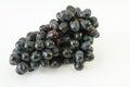 Black seedless grapes Vitis vinifera Royalty Free Stock Photo