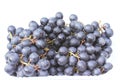 Black seedless grapes on white box Royalty Free Stock Photo