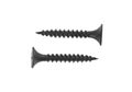 Black self-tapping screws isolated on white background Royalty Free Stock Photo