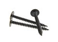 Black self-tapping screws isolated on white background Royalty Free Stock Photo