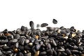 Black Sesame close up macro shot Royalty Free Stock Photo