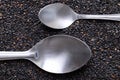 Black sesame seed with spoon, Healthy eating Royalty Free Stock Photo