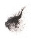 Black Sesame seeds flying explosion, black grain wave floating. Abstract cloud fly splash in air. Sesame seed is material food.