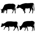 Black set silhouette of cash cow on white background Royalty Free Stock Photo