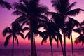The black shadows of the coconut trees by the beach after the sunset, the sky is purple