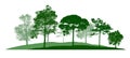 Black shadows, large trees that are completely isolated on a white background.