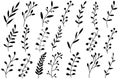 Black shadows of wild, flowers and herbs isolated from white background, hand drawn sketch of flowers.