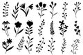 Black shadows of wild, flowers and herbs isolated from white background, hand drawn sketch of flowers.