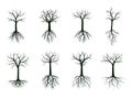 Black shape of Tree without Leaves and Roots. Vector Illustration